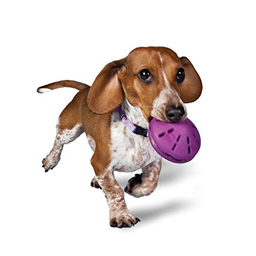 PetSafe Busy Buddy Twist 'n Treat Spenderspielzeug für Hunde, Größe XS, S, M, L von PetSafe