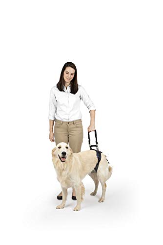 PetSafe CareLift Heckstützgeschirr – Hebehilfe mit Griff und Schultergurt – ideal für Haustier-Mobilität und ältere Hunde – bequemes, atmungsaktives Material – einfach zu verstellen, schwarz, groß PetSafe CareLift Heckstützgeschirr – Hebehilfe mit Griff und Schultergurt – ideal für Haustier-Mobilität und ältere Hunde – bequemes, atmungsaktives Material – einfach zu verstellen, schwarz, groß von PetSafe