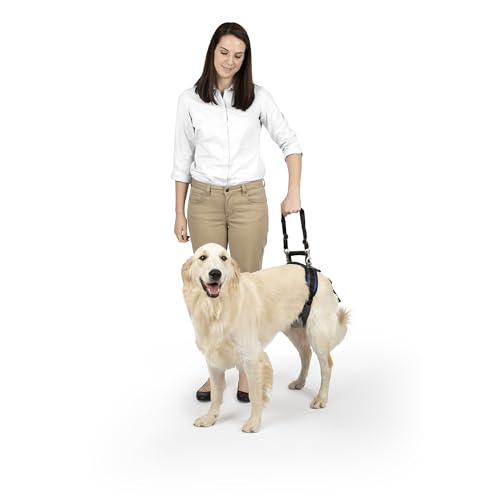 PetSafe Carelift, hinteres Unterstützungsgeschirr, Hebehilfe mit Griff und Schultergurt, geeignet für behinderte oder ältere Hunde, komfortabel, atmungsaktiv, einfach verstellbar, L PetSafe Carelift, hinteres Unterstützungsgeschirr, Hebehilfe mit Griff und Schultergurt, geeignet für behinderte oder ältere Hunde, komfortabel, atmungsaktiv, einfach verstellbar, L von PetSafe