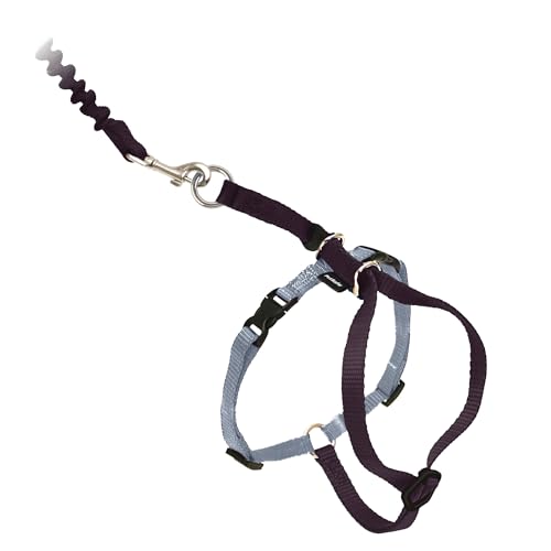 PetSafe Come with Me Kitty Geschirr und Bungee Leash, Geschirr für Katzen, groß, Schwarz/Silber von PetSafe