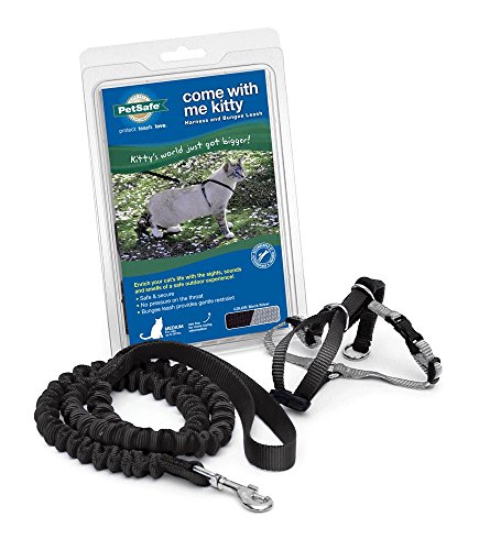 PetSafe Come with Me Kitty Geschirr und Bungee-Leine, Geschirr für Katzen, groß, Schwarz/Silber von PetSafe
