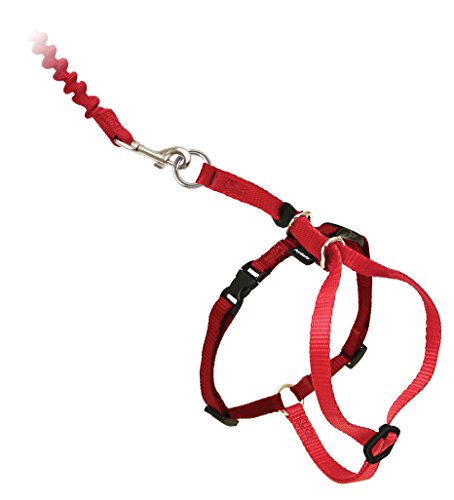 PetSafe Easy Walk Katzengeschirr, Mit elastischer Bungee-Leine, Für Spaziergänge mit Ihrer Katze, Größe L, Rot PetSafe Easy Walk Katzengeschirr, Mit elastischer Bungee-Leine, Für Spaziergänge mit Ihrer Katze, Größe L, Rot von PetSafe