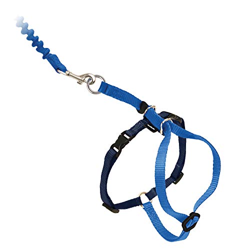 PetSafe Come with Me Kitty Geschirr und Bungee-Leine, Geschirr für Katzen, klein, Königsblau/Marineblau von PetSafe