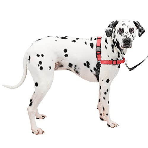 PetSafe Deluxe Easy Walk Hundegeschirr PetSafe Deluxe Easy Walk Hundegeschirr von PetSafe