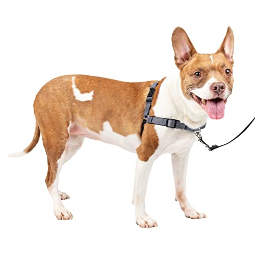 PetSafe Deluxe Easy Walk Hundegeschirr von PetSafe