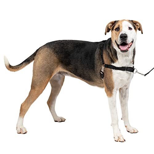 PetSafe Easy Walk-Geschirr, Anti-Zieh-Hundegeschirr, Verringert Würgen und Husten, Mit 1,8 M Leine, Größe XL, Schwarz PetSafe Easy Walk-Geschirr, Anti-Zieh-Hundegeschirr, Verringert Würgen und Husten, Mit 1,8 M Leine, Größe XL, Schwarz von PetSafe