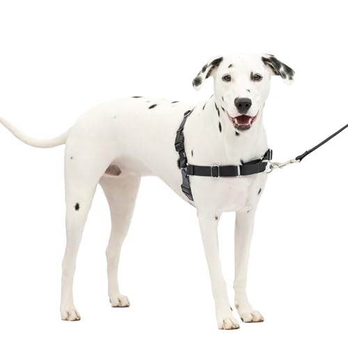 PetSafe Easy Walk Hundegeschirr, kein Ziehen, perfekt für Leinen- und Geschirr-Training, verhindert, DASS Haustiere bei Spaziergängen ziehen und ersticken – Größe M/L, Anthrazit/Schwarz von PetSafe
