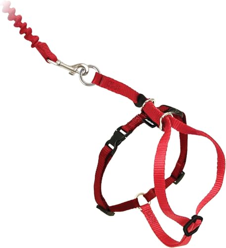 PetSafe Easy Walk Katzengeschirr, Mit elastischer Bungee-Leine, Für Spaziergänge mit Ihrer Katze, Größe S, Rot, CWMK-S-RED-19 PetSafe Easy Walk Katzengeschirr, Mit elastischer Bungee-Leine, Für Spaziergänge mit Ihrer Katze, Größe S, Rot, CWMK-S-RED-19 von PetSafe