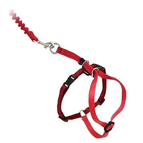 PetSafe Easy Walk Katzengeschirr, Mit elastischer Bungee-Leine, Für Spaziergänge mit Ihrer Katze, Größe S, Rot von PetSafe