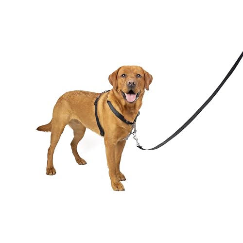 PetSafe 3-in-1-Geschirr und Rückhaltegurt für Hunde, Mit Anti-Zieh-Ring und Rückhaltegurt fürs Auto, Größe L, Schwarz von PetSafe