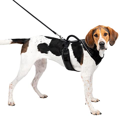 PetSafe EasySport Geschirr, Elastischer Halsausschnitt, Gepolsterter Griff, Für Hunde von 29,5 bis 36 kg, Größe L, Schwarz von PetSafe