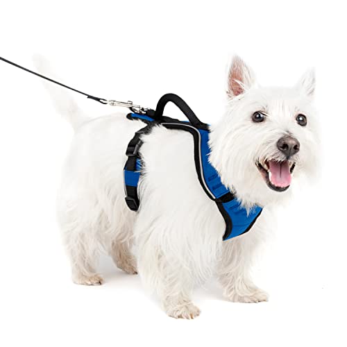 PetSafe EasySport Hundegeschirr, Komplett gepolstert mit elastischem Halsteil, Für Hunde von 9-16,5 kg, Größe S, Blau von PetSafe