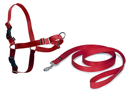 PetSafe Easy Walk Hundegeschirr S/M rot, 1,8 m Leine, kein Ziehen für kleine/ mittelgroße Hunde von PetSafe