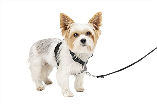PetSafe 3-in-1-Geschirr und Rückhaltegurt für Hunde, Mit Anti-Zieh-Ring und Rückhaltegurt fürs Auto, Größe XS, Schwarz von PetSafe