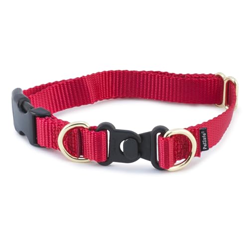 PetSafe KeepSafe strapazierfähiges Halsband für Hunde - Medium (1 inch), Rot, Nylon, Patentierte Sicherheits-Schnalle, Verhindert Strangulierung, Größe M: 2,5 cm PetSafe KeepSafe strapazierfähiges Halsband für Hunde - Medium (1 inch), Rot, Nylon, Patentierte Sicherheits-Schnalle, Verhindert Strangulierung, Größe M: 2,5 cm von PetSafe