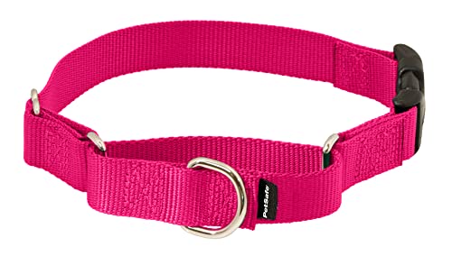 PetSafe Martingale Halsband mit Schnellschnalle, 0,95 cm, klein, himbeerfarben von PetSafe