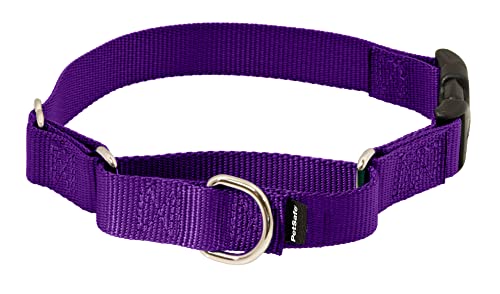 PetSafe Martingale Halsband mit Schnellschnalle, 0,95 cm klein, Dunkelviolett von PetSafe