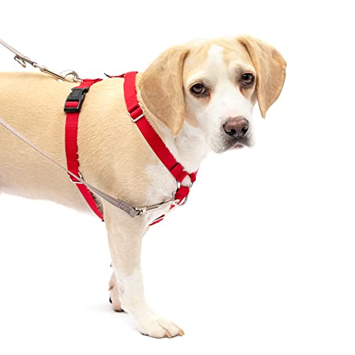 PetSafe Sure-Fit Hundegeschirr – Trainingshilfe – taktisches Design verhindert Druck auf den Hals – 2 Schnellverschluss-Schnallen vereinfachen das An- und Ausziehen – 5 Einstellungspunkte maximieren von PetSafe