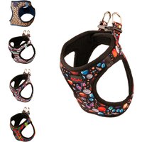 Pettagart Air Mesh Step-In Hundegeschirr, Hundegeschirr Extra Leicht & Weich in Verschiedenen Größen Und Farben Pettagart Air Mesh Step-In Hundegeschirr, Hundegeschirr Extra Leicht & Weich in Verschiedenen Größen Und Farben von PetTagArtEurope