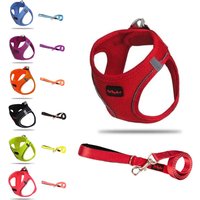 Pettagart Airmesh Hundegeschirr/Leine Set, Anti-Zug-Geschirr Reflektierendes Brustgeschirr Für Kleine, Große Hunde, 1.4 M Pettagart Airmesh Hundegeschirr/Leine Set, Anti-Zug-Geschirr Reflektierendes Brustgeschirr Für Kleine, Große Hunde, 1.4 M von PetTagArtEurope