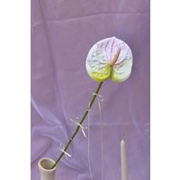 Handgemachte Perle Anthurium Surreale Künstliche Blume Wohndekor von PetalDripLA