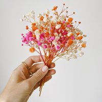 Bunter Strauß Aus Schleierkraut | Trockenblumen Ewig Haltbar Verschiedene Farben Bunter Strauß Aus Schleierkraut | Trockenblumen Ewig Haltbar Verschiedene Farben von PetalEleganceShop