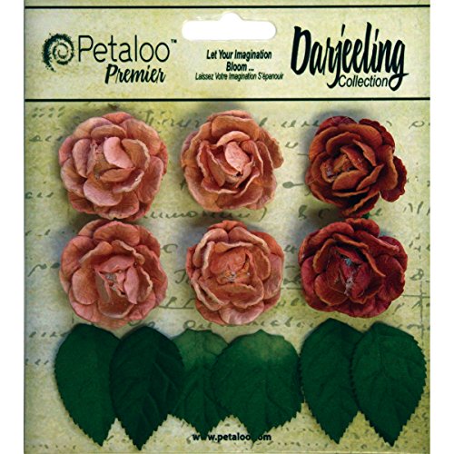 Petaloo Darjeeling Mini Garden Rosetten 1 Spice, Acryl, Mehrfarbig, 3-teilig von Petaloo