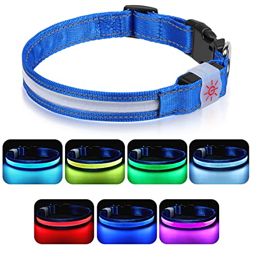 Petbank Leuchthalsband Hund Hundehalsband Leuchtend USB Aufladbar LED Halsband Hund mit 7 Farbwechsel 5 Beleuchtungsmodi Verstellbare Hund leuchthalsband Wasserdicht für Kleine Mittlere Große Hunde M von Petbank