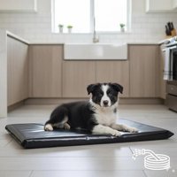 Robuste Wasserdichte Hundematten Für Käfig/Auto Zwinger Langlebige Haustiermatten in Schwarz von Petbedsdirect