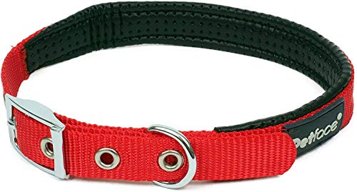 Petface Gepolsterte Nylon Hundehalsband von Petface