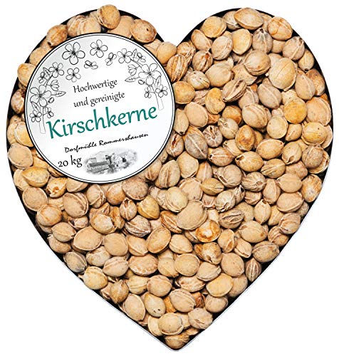 Petigi Kirschkerne lose für Wärmekissen Kirschkernkissen Kissen Waermekissen Baby Füllung Körnerkissen Kerne Koernerkissen 1-30 kg Füllmaterial Kirschkern Auswahl DML, Menge:20 kg (2.20EUR/kg) von Petigi