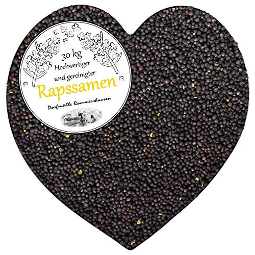 Petigi Raps Gereinigt 30 kg Rapssamen Therapie Rapssaat für Rapskissen Kissen Wärmekissen Kältekissen Samen Lose Rheuma Mikrowelle Wellness Rapsbad Petigi Raps Gereinigt 30 kg Rapssamen Therapie Rapssaat für Rapskissen Kissen Wärmekissen Kältekissen Samen Lose Rheuma Mikrowelle Wellness Rapsbad von Petigi