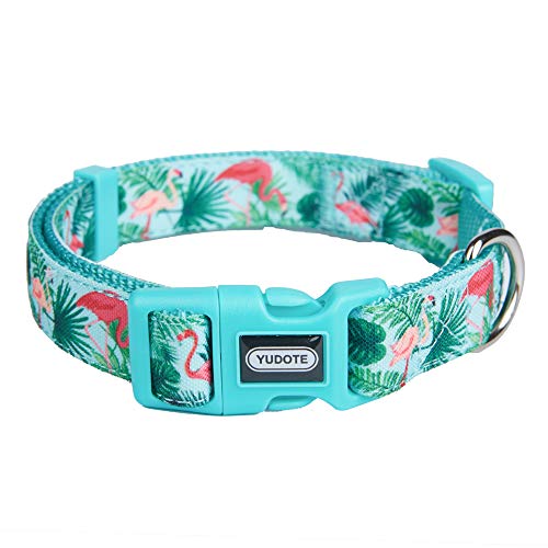 Petiry Hundehalsband, Nylon plus Bandmaterial, grünes Flamingo-Muster, für kleine Hunde, Halsumfang 25,4 cm - 38,1 cm von Petiry