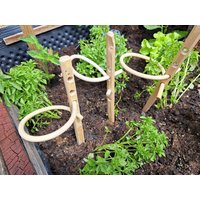 Mini Pflanzenstützen Für Kräuter Etc Aus Kastanienholz Mit Rattan von PetitVillageShop