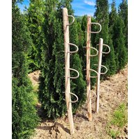 Universalhalter Für Beeteinfassung, Planzentrenner Etc. Aus Kastanienholz Und Rattan von PetitVillageShop