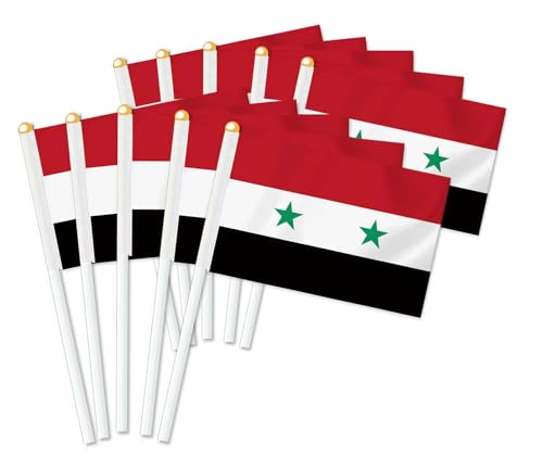25 Stück Syrien Handheld Flagge,syrisch Dekor Hand gehalten Hold Fahne, Dekoration Banner hand Syria von Petite Pine