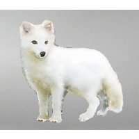 Polarfuchs-Kleber, Polarfuchs-Aufkleber, Aquarell-Aufkleber, Wandkleber, Kinderzimmer, Vinyl Polarfuchs-Kleber, Polarfuchs-Aufkleber, Aquarell-Aufkleber, Wandkleber, Kinderzimmer, Vinyl von PetiteNatureDecals