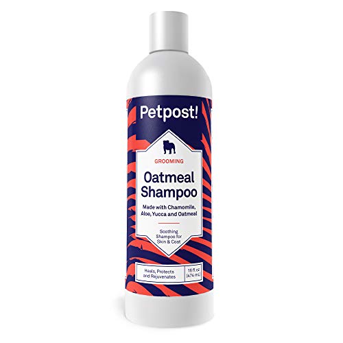 Petpost | Haferflocken & Kamillenshampoo für Hunde mit trockener Haut - Natürliche Heilung, Schutz und Regeneration von Hundehaut & Fell - Haferflocken, Kamille, Aloe & Yucca Formel (474 mL) von Petpost