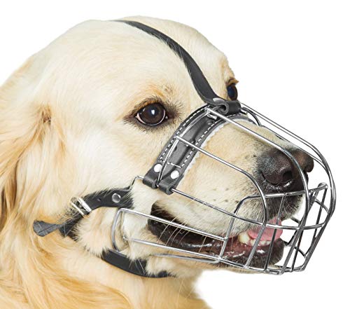 Hundemaulkorb aus verchromtem Metall, mit verstellbaren Lederriemen, Umfang 33–35,1 cm, Länge 9,9–10,9 cm, Maulkorb für Labrador Retriever von PetriStor