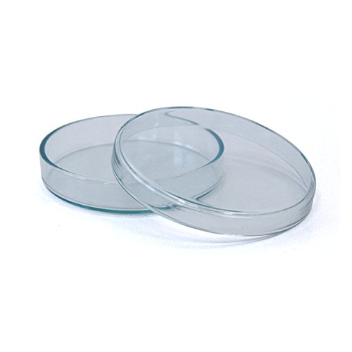 3 x Petrischale 120x20mm aus Kalk-Soda-Glas ohne Nocken - bis 135°C im Autoklaven sterilisierbar - Petrischalen, Kulturschale, Zellkulturschale, Kulturschalen, Agar Agar Schalen, Zellkulturschalen von Petrischalen