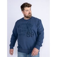 Petrol Industries Sweatshirt "Men Sweater Round Neck" von Petrol Industries