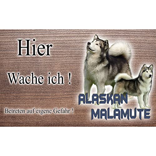 Warnschild Hund oder Warnzeichen Alaskan Malamute 30 cm von Pets-easy.com