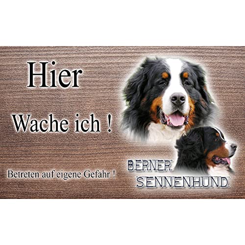 Warnschild Hund oder Warnzeichen Berner Sennenhund 20 cm von Pets-easy.com