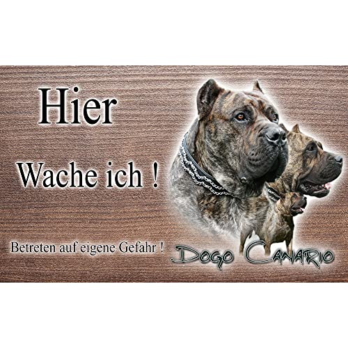 Warnschild Hund oder Warnzeichen Dogo Canario 20 cm von Pets-easy.com