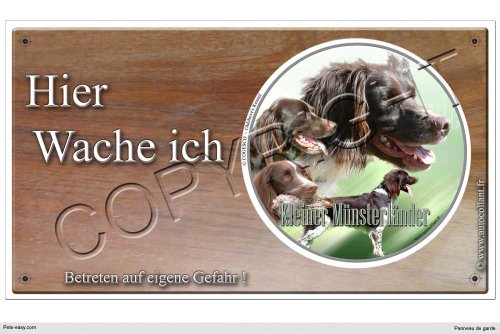 Warnschild Hund oder Warnzeichen Kleiner Münsterländer 20 cm von Pets-easy.com