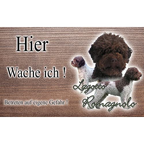 Warnschild Hund oder Warnzeichen Lagotto Romagnolo 20 cm von Pets-easy.com