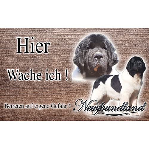 Warnschild Hund oder Warnzeichen Neufundländer 30 cm von Pets-easy.com