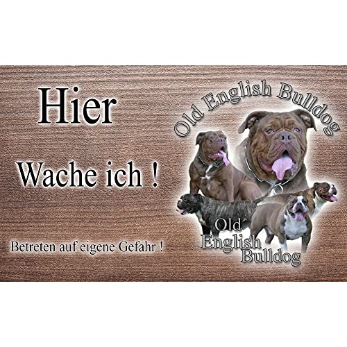 Warnschild Hund oder Warnzeichen Old English Bulldog 30 cm von Pets-easy.com