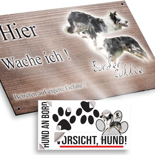 hier wache ich hund Border Collie 15/9,5 cm von Pets-easy