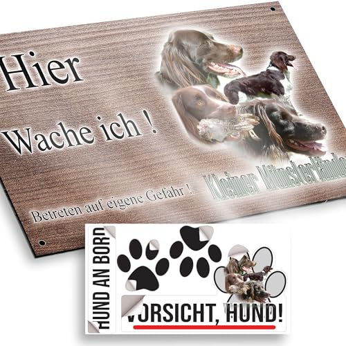 hier wache ich hund Kleiner Münsterländer 15/9,5 cm von Pets-easy